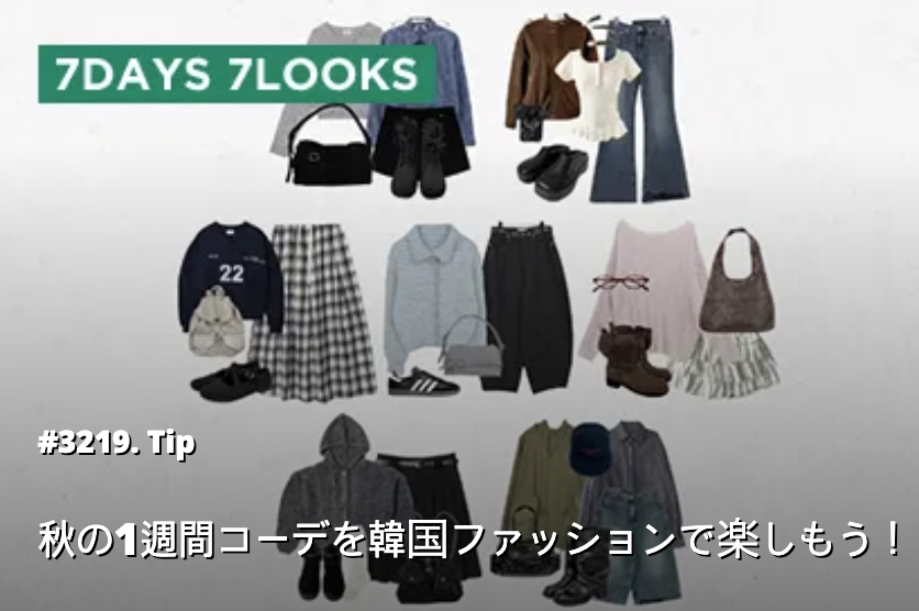 コーディブック-デイリールックはコーディブック-11-11-2025_05_36_PM