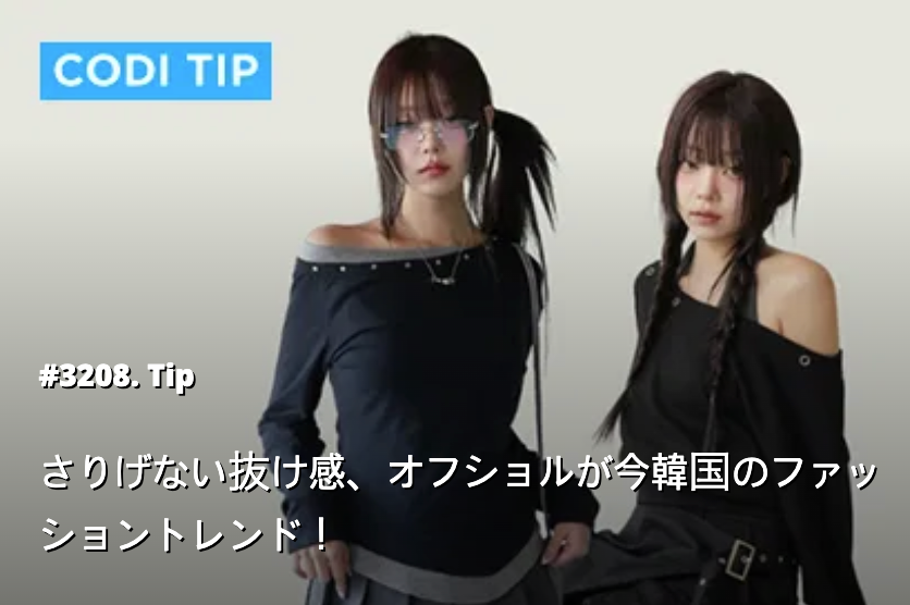 コーディブック-デイリールックはコーディブック-11-11-2025_05_38_PM